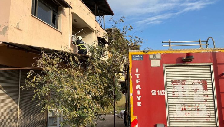 KIRIKHAN’DA ÇATIDA MAHSUR KALAN KEDİYİ İTFAİYE KURTARDI   