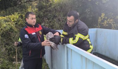 YAYLADAĞI’NDA BAYKUŞ KURTARMA OPERASYONU   