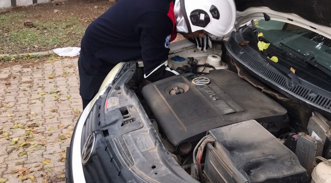 ÜŞÜYEN KEDİ, OTOMOBİLİN MOTORUNA GİRDİ   