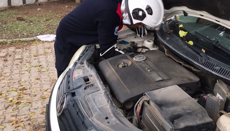 ÜŞÜYEN KEDİ, OTOMOBİLİN MOTORUNA GİRDİ   