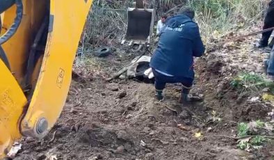 HATAY’DA DEREYE DÜŞEN İNEK İTFAİYE EKİPLERİ TARAFINDAN KURTARILDI   