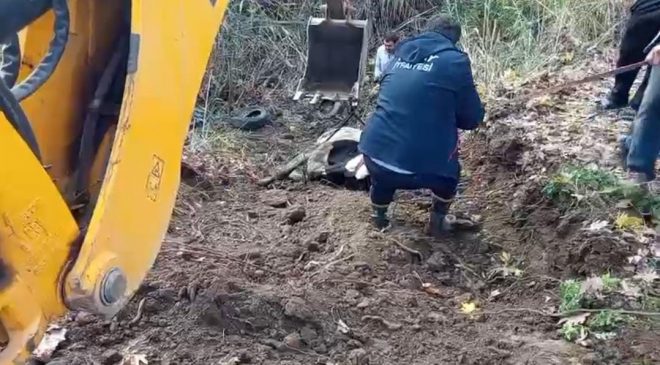 HATAY’DA DEREYE DÜŞEN İNEK İTFAİYE EKİPLERİ TARAFINDAN KURTARILDI   