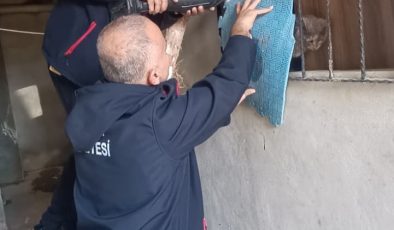 ANTAKYA’DA KEDİ KURTARMA OPERASYONU   