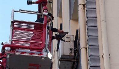 İSKENDERUN’DA KLİMA MOTORUNA DOLAŞAN KUŞ KURTARILDI   