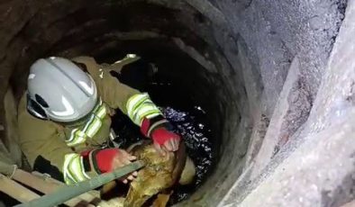 KUYUYA DÜŞEN KÖPEĞİ İTFAİYE KURTARDI 