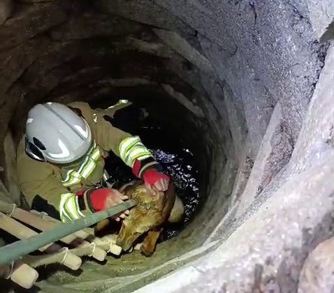 KUYUYA DÜŞEN KÖPEĞİ İTFAİYE KURTARDI 