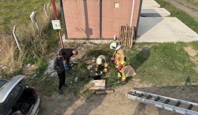 KUYUYA DÜŞEN KOYUNU İTFAİYE KURTARDI   