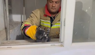 HATAY’DA HAVALANDIRMA BOŞLUĞUNA DÜŞEN YAVRU KEDİ KURTARILDI   