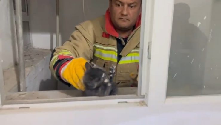 HATAY’DA HAVALANDIRMA BOŞLUĞUNA DÜŞEN YAVRU KEDİ KURTARILDI   