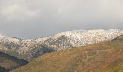 AMANOSLAR BEYAZA BÜRÜNDÜ   