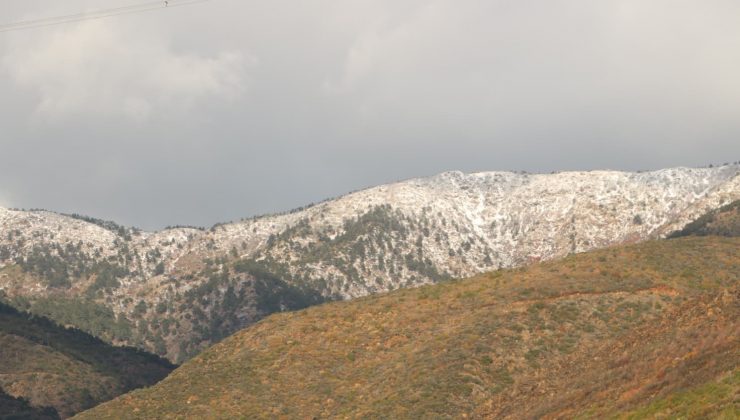 AMANOSLAR BEYAZA BÜRÜNDÜ   