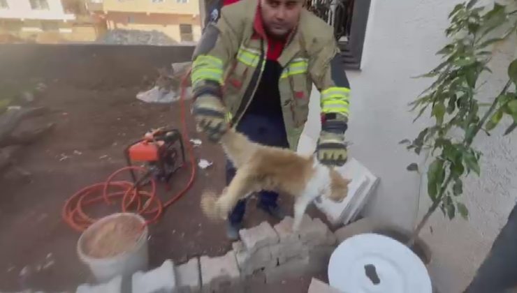 PENCERE KORKULUĞUNU SIKIŞAN KEDİYİ İTFAİYE KURTARDI   