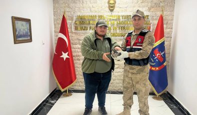 HATAY’DA YARALI HALDE BULUNAN ATMACA TEDAVİ ALTINA ALINDI 