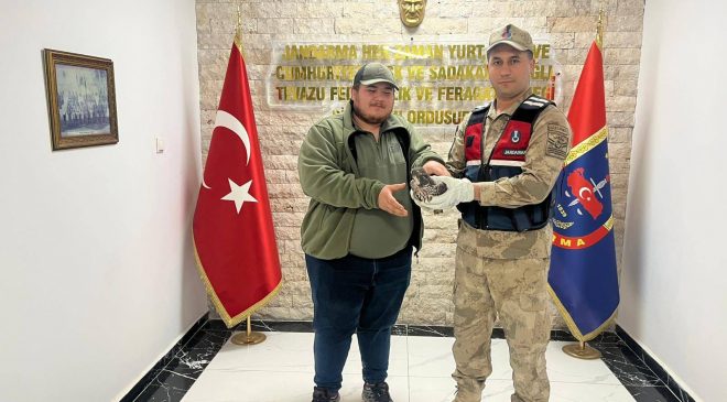 HATAY’DA YARALI HALDE BULUNAN ATMACA TEDAVİ ALTINA ALINDI 