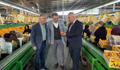 NARENCİYE TESİSLERİ MERCEK ALTINDA