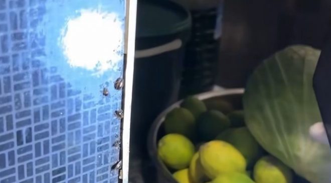 ALIŞVERİŞ MERKEZİNDEKİ RESTORANLARDA MİDE BULANDIRAN GÖRÜNTÜLER 