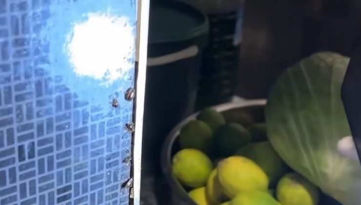 ALIŞVERİŞ MERKEZİNDEKİ RESTORANLARDA MİDE BULANDIRAN GÖRÜNTÜLER 