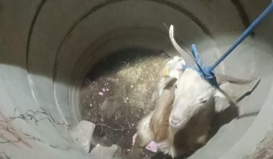 SU KUYUSUNDA MAHSUR KALAN KEÇİYİ İTFAİYE KURTARDI   