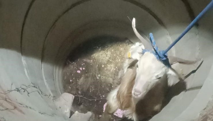 SU KUYUSUNDA MAHSUR KALAN KEÇİYİ İTFAİYE KURTARDI   