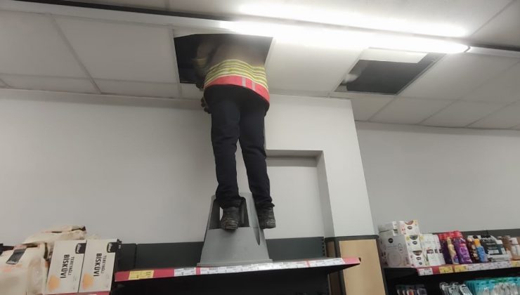 HAVALANDIRMA BOŞLUĞUNDA MAHSUR KALAN KEDİYİ İTFAİYE KURTARDI    