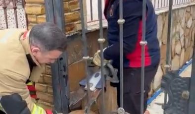 DEMİR KORKULUKLARA SIKIŞAN KÖPEĞİ İTFAİYE KURTARDI   