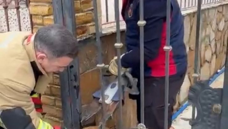 DEMİR KORKULUKLARA SIKIŞAN KÖPEĞİ İTFAİYE KURTARDI   