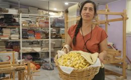 TESCİLLİ ‘HATAY SARISI’NI YAŞATMAK İÇİN ÖMRÜNÜ ADAYAN KADINA “YAŞAYAN İNSAN HAZİNESİ” ÖDÜLÜ  