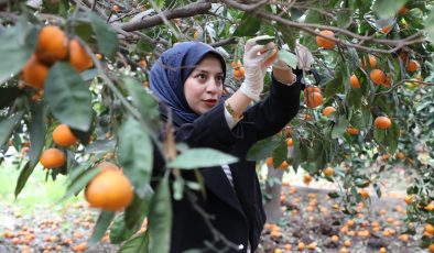 ÖĞRENCİLER TOPLADI, HBB DAĞITTI