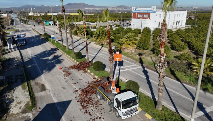 ERZİN’İN KAYNAK SULARI MASLAK PROJESİYLE GÜVENCEYE ALINIYOR