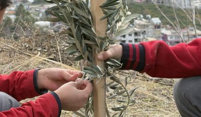 KERVAN’DANANLAMLI SOSYAL SORUMLULUK PROJESİ; “OKUL BAHÇELERİ ZEYTİN BAHÇELERİ OLSUN”